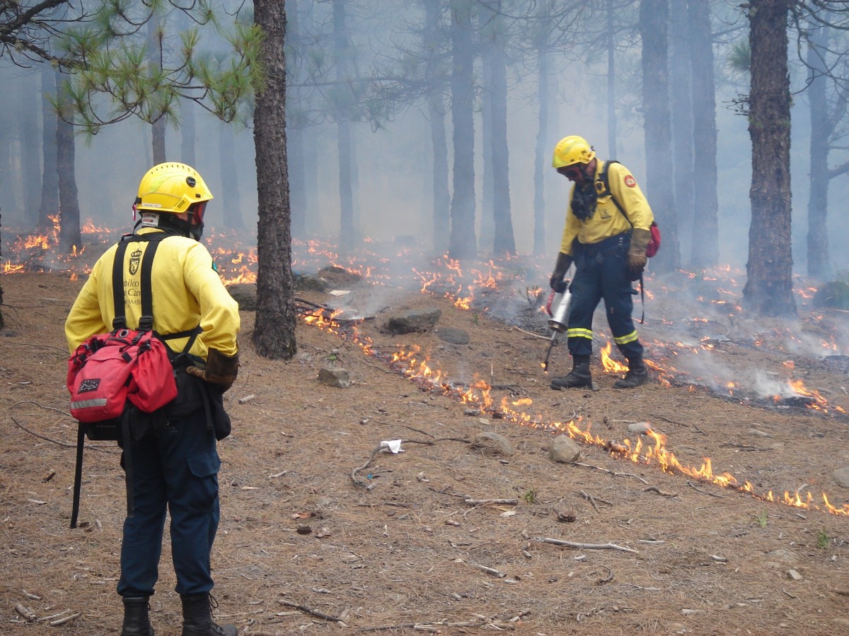 Incendio forestal con humo en un entorno rural de España